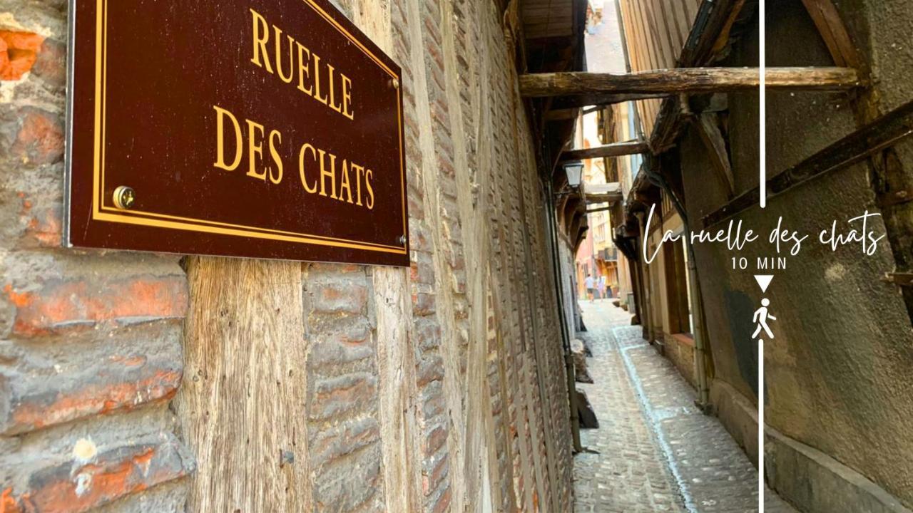 Vila Le Cordelier - Jardin En Plein Centre - Quais De Seine Troyes Exteriér fotografie