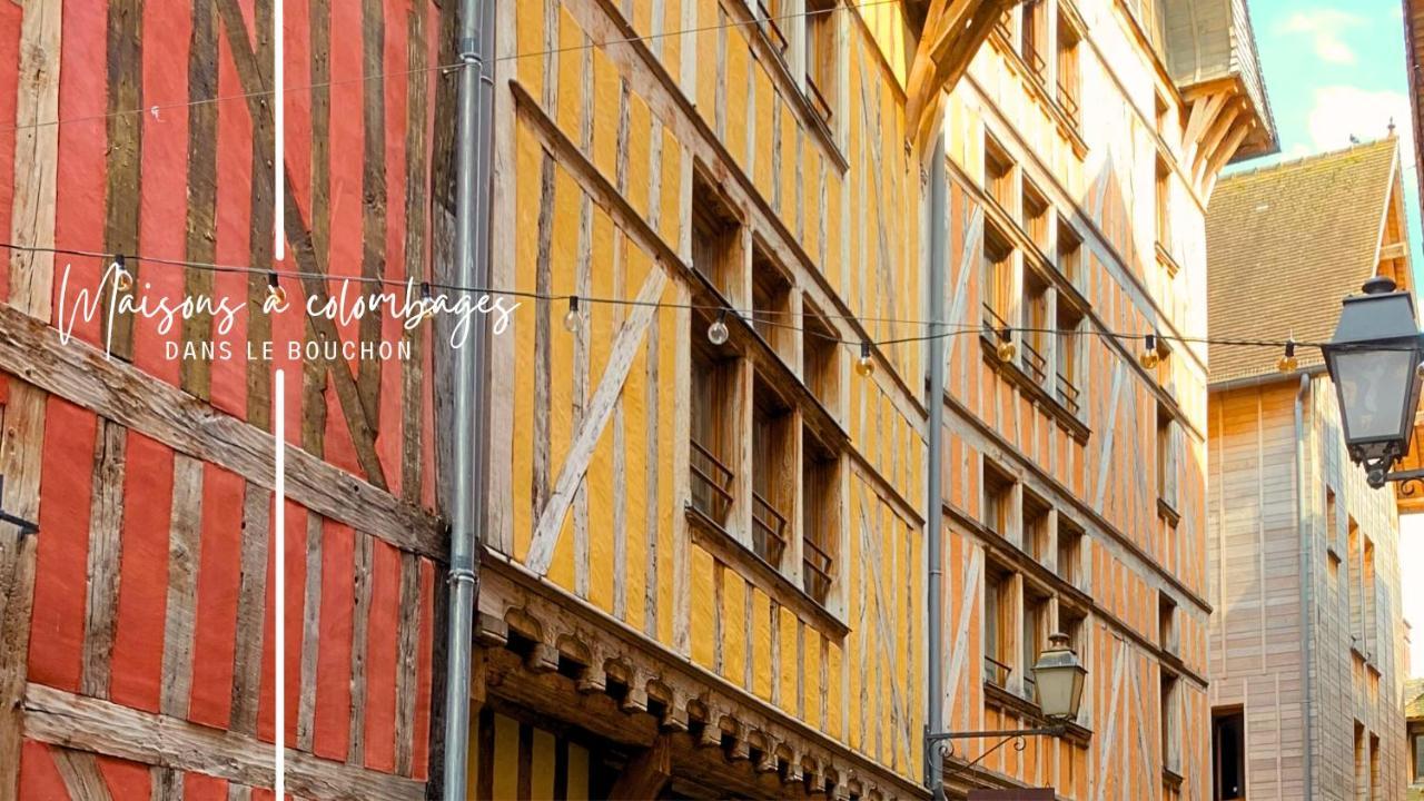 Vila Le Cordelier - Jardin En Plein Centre - Quais De Seine Troyes Exteriér fotografie